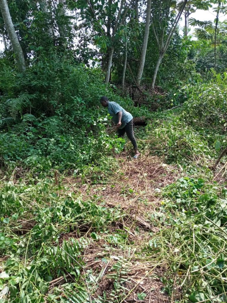 Cameroun forage de puit pygmées