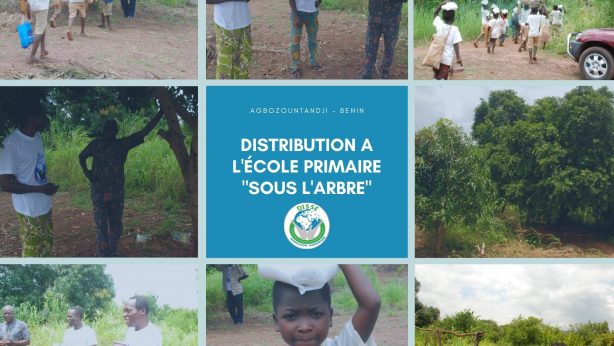 distribution à l'école primaire bénin